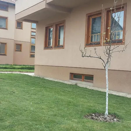Layla * Visoko